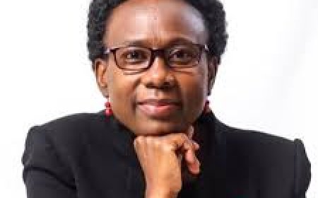 Lira City: Minister Aceng deserves another term in parliament