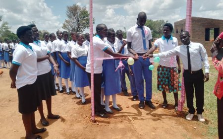 Hillview High School Promises Good results in Performance