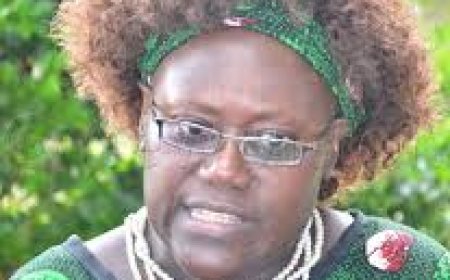 Be counted, take this Census 2024 seriously - Dr Alwoc to residents of Dokolo