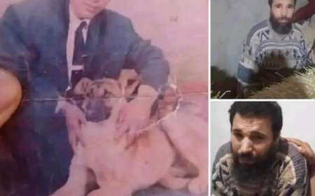 Teenager who disappeared 28 years ago found near his family home