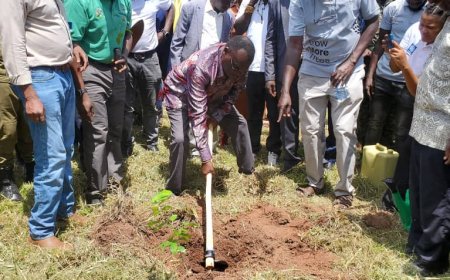 Chief Justice Alphonse Owiny-Dollo Calls For  Joint Forces Against Environmental Misuse