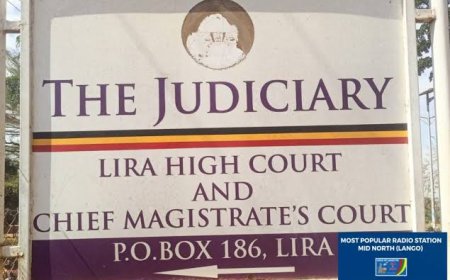 Lira Court Blocks Ogwang Okul from Holding role as Wonayci