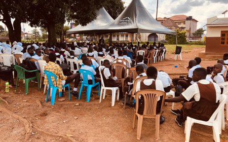 Hoima, Masindi  Candidates Ready for 2024 PLE Exams