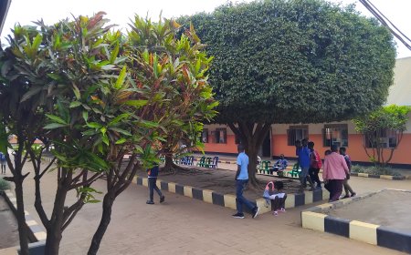 St. Gracious Nursery & Primary Sch, Lira  Earns Good Grade in 2024  PLE Results