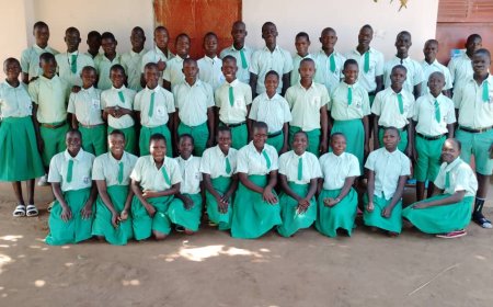 LIRA -Hillview Junior School Celebrates Remarkable 2024 PLE Results