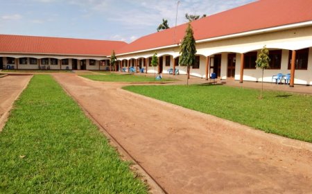 UNEARTH: UCI School of Nursing &Midwifery Lira Clarifies On Ebola Claims, Result Tested Negative