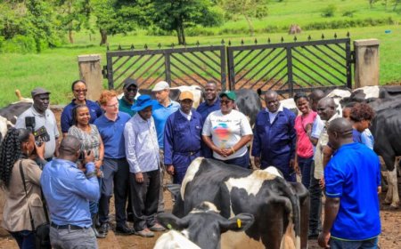 IMPACT CREATED:  Uganda’s 2025 Best Farmers Competition Launches with Focus on Value Addition