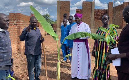 Erute North Aspirant Maj. Rtd Opio Empowers Over 500 Farmers with Cocoa Seedlings in Battle Against Household Poverty