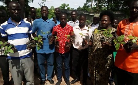 Alebtong District Woman MP Hopeful  Janet Akello Omara Orech Unveils Ambitious Cocoa & Industrialization Plan for Alebtong