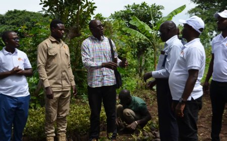 WEALTH CREATION: Hongera Sana Uganda Donates 10,000 Coffee Seedlings to Alur Kingdom