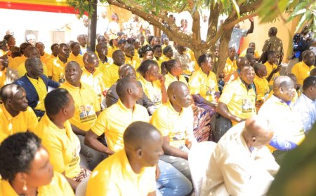 Breaking; LANGO Delegates Complain of Poor Facilitation by Calvine David Echodu,  Pledged Support to Cpt. Mike Mukula for Eastern NRM Vice Chair