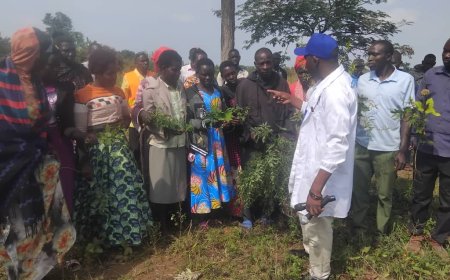 TOP STORY!  Ogang Ogang Herbal Clinic Launches One-Week Community Healthcare Campaign in Amolatar