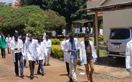 FULL BURSARIES!  Fountainhead Institute of Mgt and Technology, Lira Rolls Out Full Bursary Scheme for  All