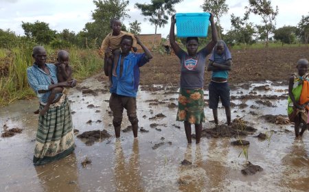 Heavy Rains Paralyze Businesses and Transport in Otuke District