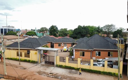 Exploring the Beauty of Zegans Hotel Main   in Lira During the Festive Season