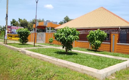 INSIDE STORY!  Zegans Horizon Palace Hotel in Lira Promises  Luxurious  and Comfort Experience