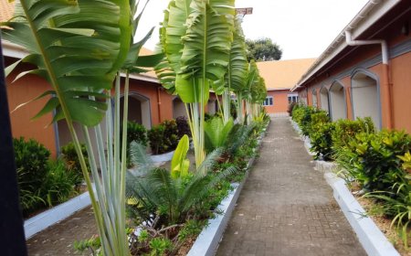 Updated Story !  Zegans Horizon Palace Hotel in Lira: A New Landmark for Luxury &Events