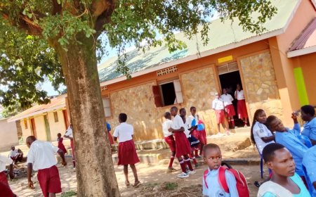 New Generation Nursery & Primary School, Lira City, to Graduate Top Class  on November 26th