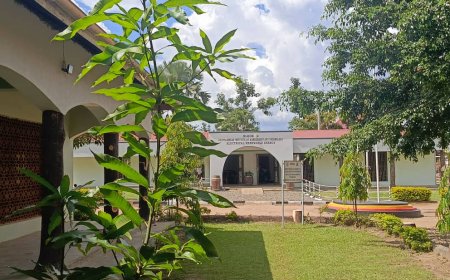 Fountainhead Institute of Management and Technology Opens January 2026 Intake with Full Bursary Scheme for Science Programs