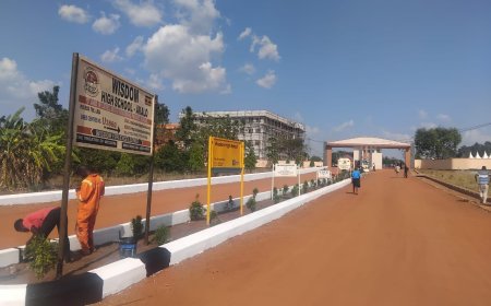 Revealed ! Wisdom High Sch   Celebrates Outstanding UACE Results & Unveils Secrets to Success