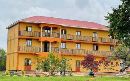 Inside News ! DAF School of Nursing and Midwifery Excels in National Exams,  Fresh Admissions for July  Intake on Bursaries Ongoing