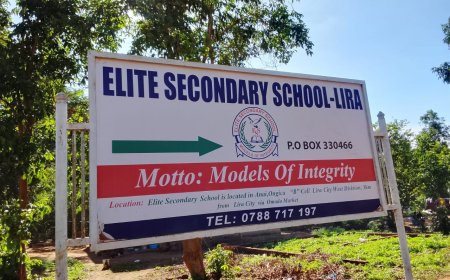 Elite Sec Sch - Lira Scores  Outstanding Performance in UCE & UACE