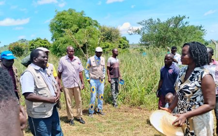 Greater Nebbi Elders  Call for Benchmarking Of  Polla  Mixed Farm to Transform Agriculture