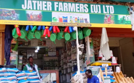 TRENDING : Jather Farmers (U) Ltd, Lira City  Emerges as Reliable Source of Genuine Seeds & Agro Services To Farmers