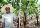 From Farming for Food to Farming as a Business: How Ayac Smart Farm, Olobo  Is Transforming Lives In Lango