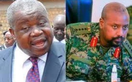You Never See How Beautiful Your Face Is, Or Ugly Your Face Is, Until You Look Into The Mirror- Says Otafiire As He Warns Against Generals Who Like Violence