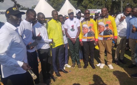 TRENDING :  KABANDA  URGES LANGO  TO  MASSIVELY SUPPORT GEN. MK FOR PRESIDENCY AFTER MUSEVENI