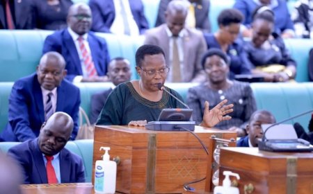 Full Report! Most Active & Silent NUP MPs In Parliament Named
