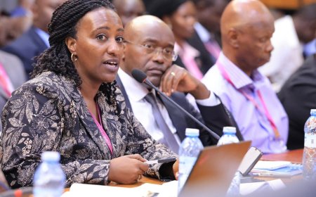 For Failing To Fix The Daily Power Blackout Country Wide! MPs Demand Sacking of Former UMEME Employees from UEDCL as Power Outages Anger Ugandans