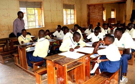 Good News for Teachers! Government Announces Confirmations, Promotions, Study Leave and Other Employment Decisions