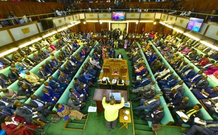 They Over Beg Us Money! Parliament Orders Removal of MPs’ Phone Numbers from Public Platforms Over Fraud Concerns