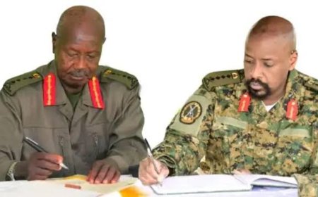 Any Political Transition Must Follow The Law – Museveni’s Minister To Gen Muhoozi’s PLU