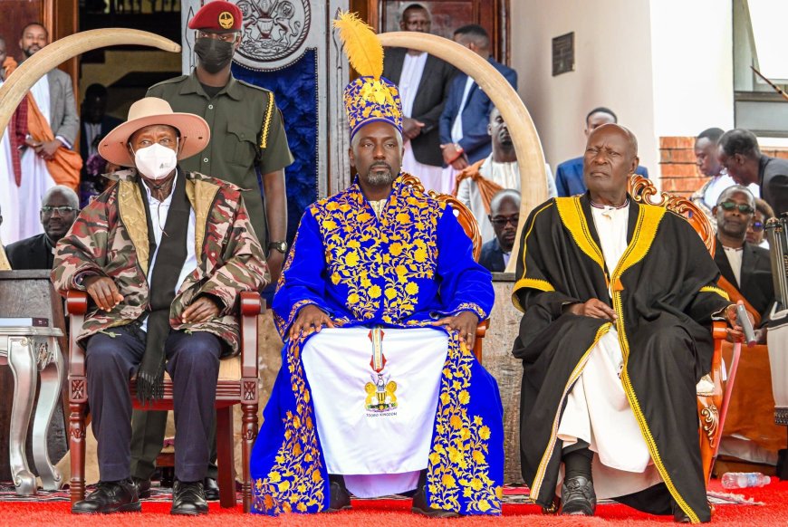 Generous President; Museveni Gives New Tooro King Nyabongo 100 Ankole Longhorn Cattle
