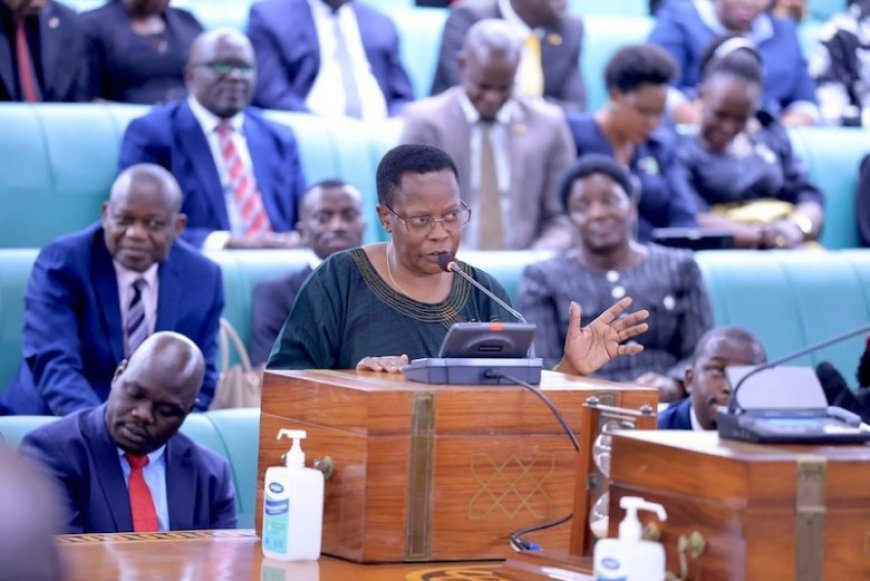 Full Report! Most Active & Silent NUP MPs In Parliament Named