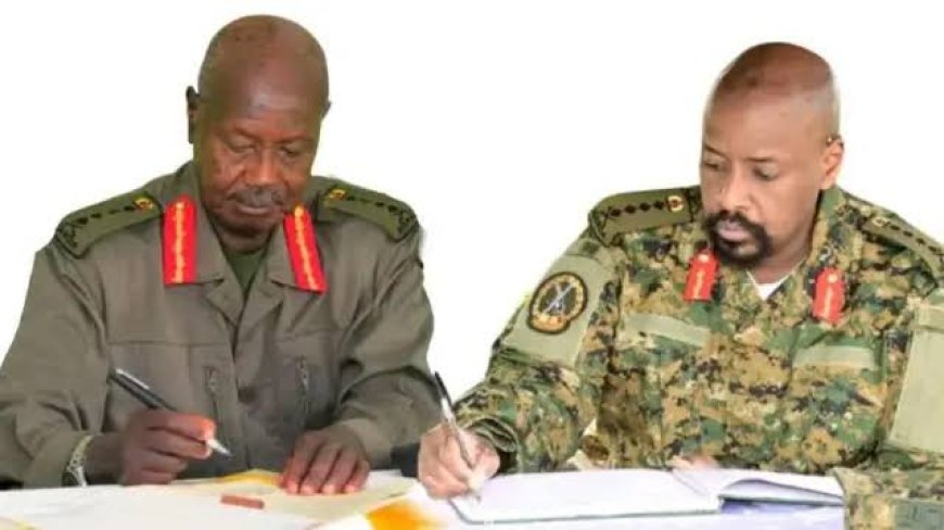 Any Political Transition Must Follow The Law – Museveni’s Minister To Gen Muhoozi’s PLU